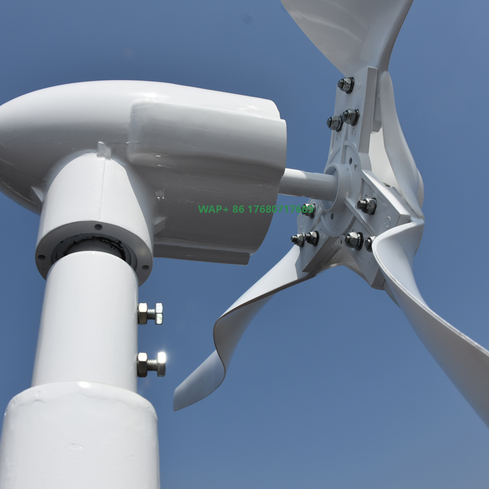 Wind Turbine Generator - 무료 에너지 전문 맞춤형 3000W 5000W