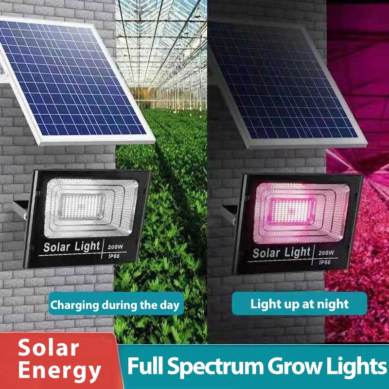 태양광 LED 식물 성장등, 리모컨 포함, 정원용 디밍 - Renewable Energy Project 리뷰 및 가격